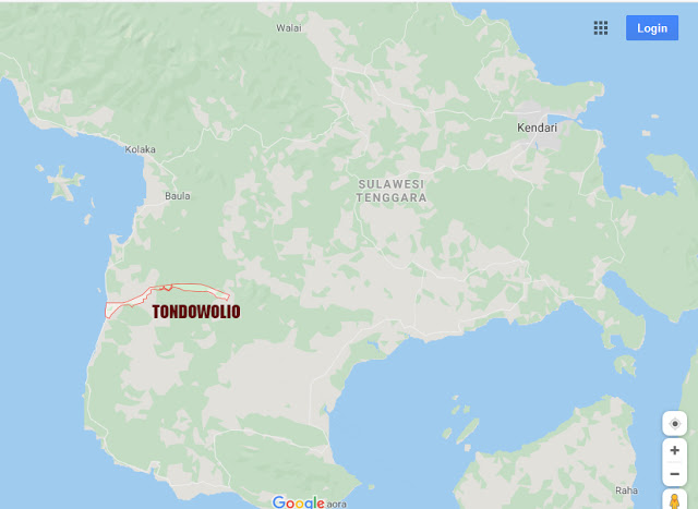 Sejarah Tondowolio